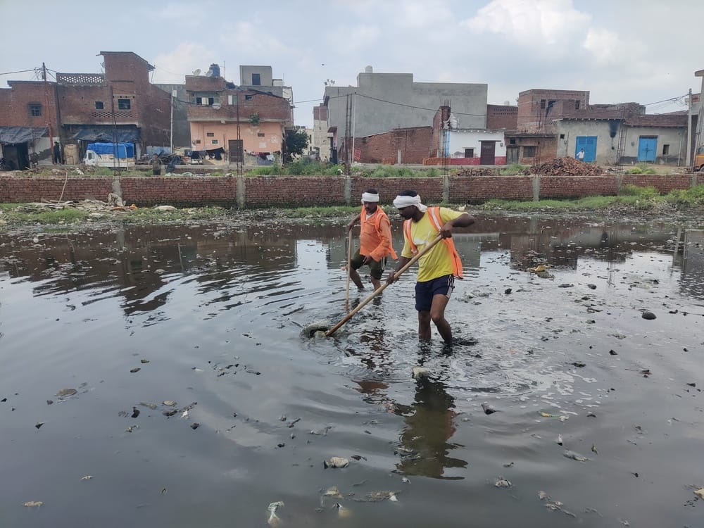 मोहल्ला साठा में नाले के पास भरे पानी में छात्रा चारू की तलाश करते कर्मचारी। संवाद