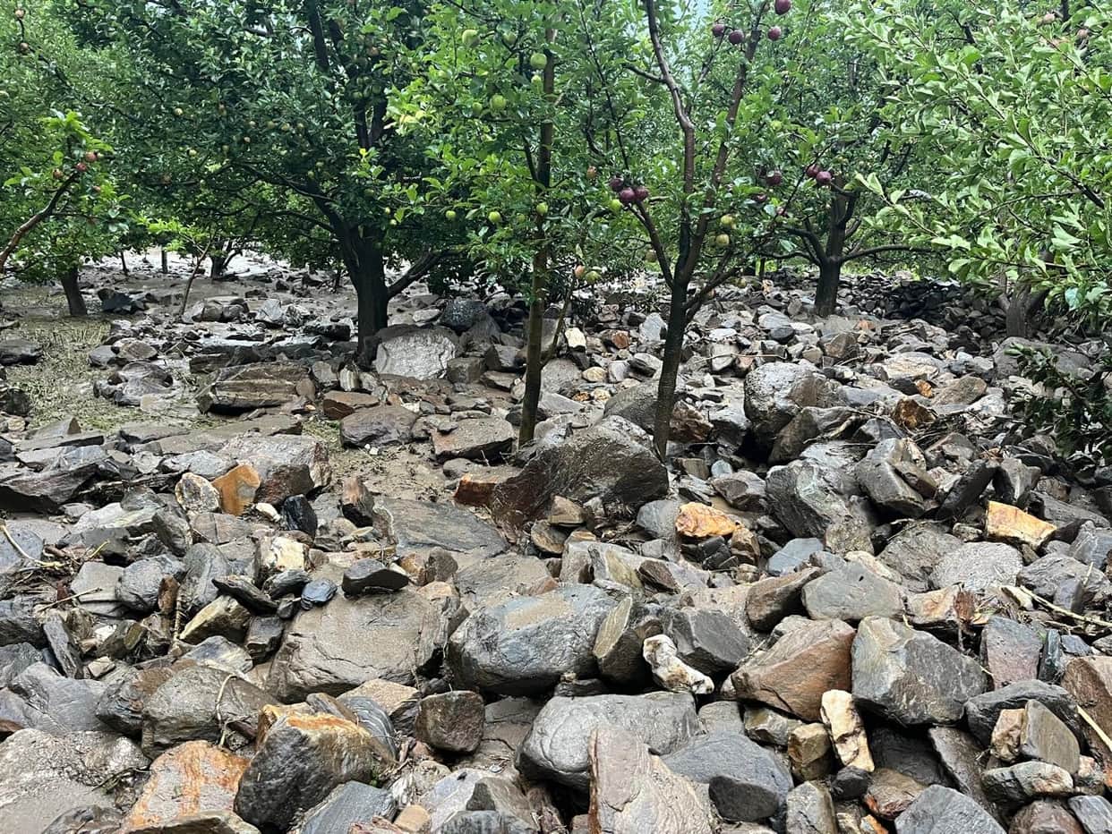 Earnings washed away by floods; orchards turned into heaps of debris.