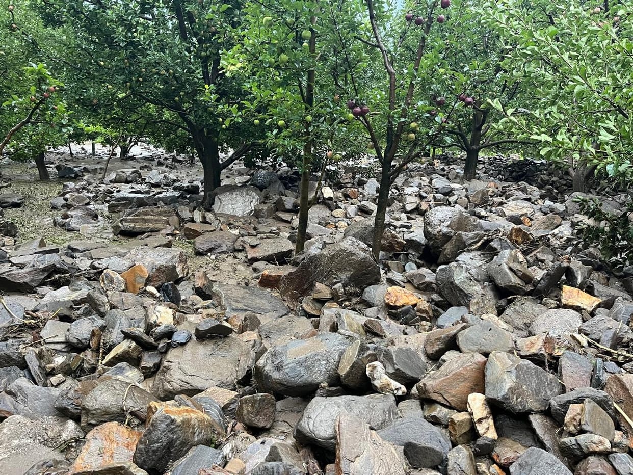 Earnings washed away by floods; orchards turned into heaps of debris.