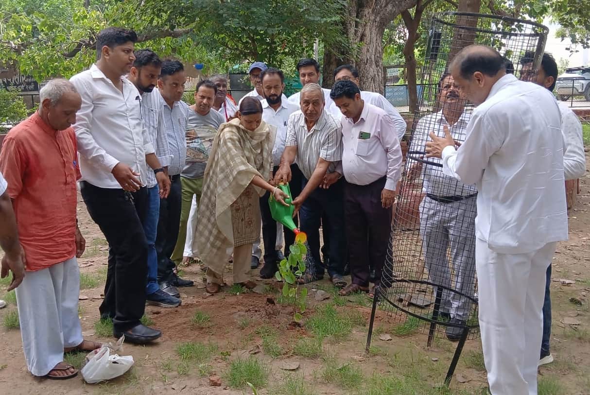 नेहरू पार्क में एक पेड़ मां के नाम अभियान के तहत पौधरोपण करती नगर परिषद चेयरपर्सन विनीता पीपल व