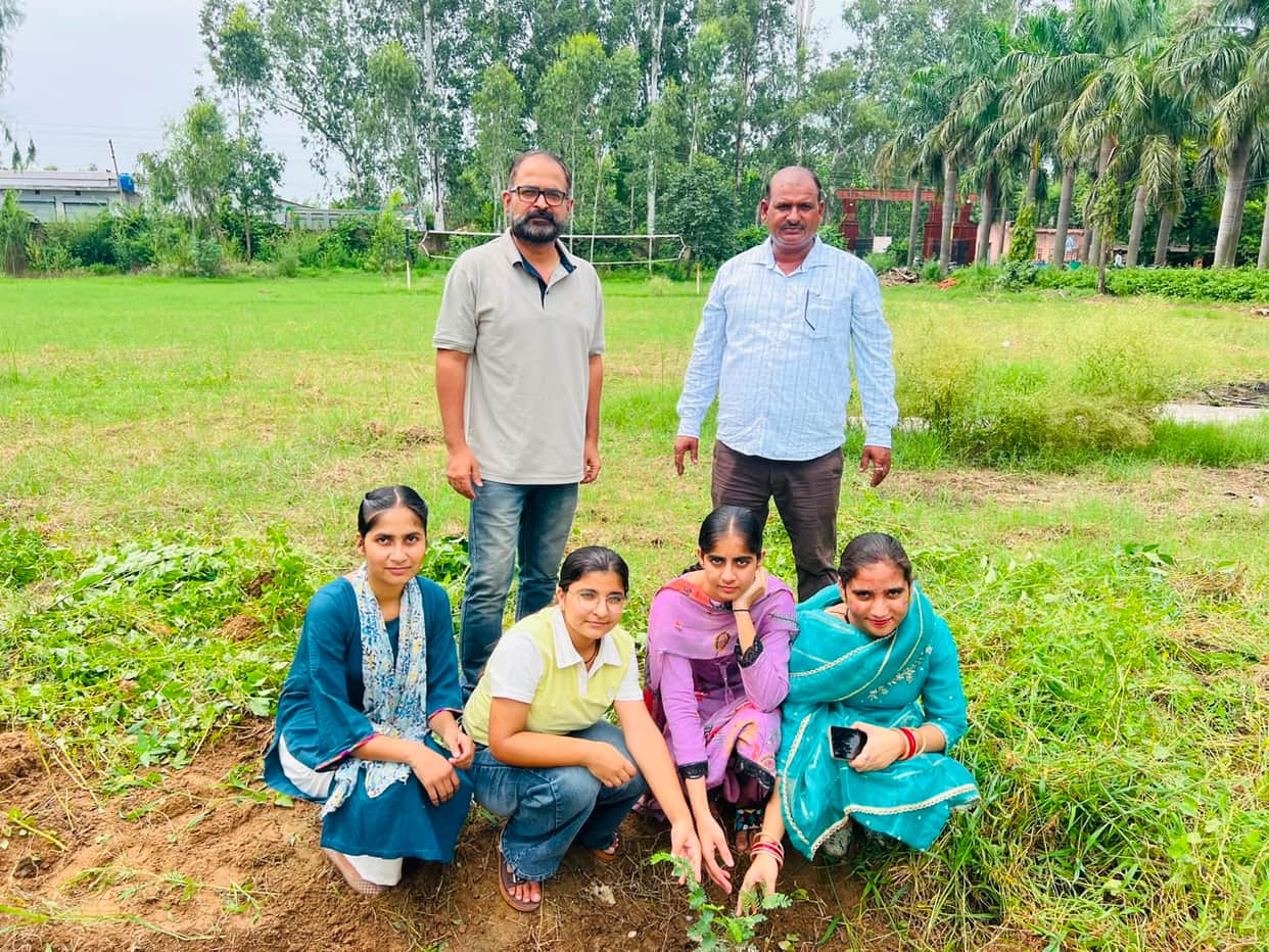 Volunteers planted 53 saplings.