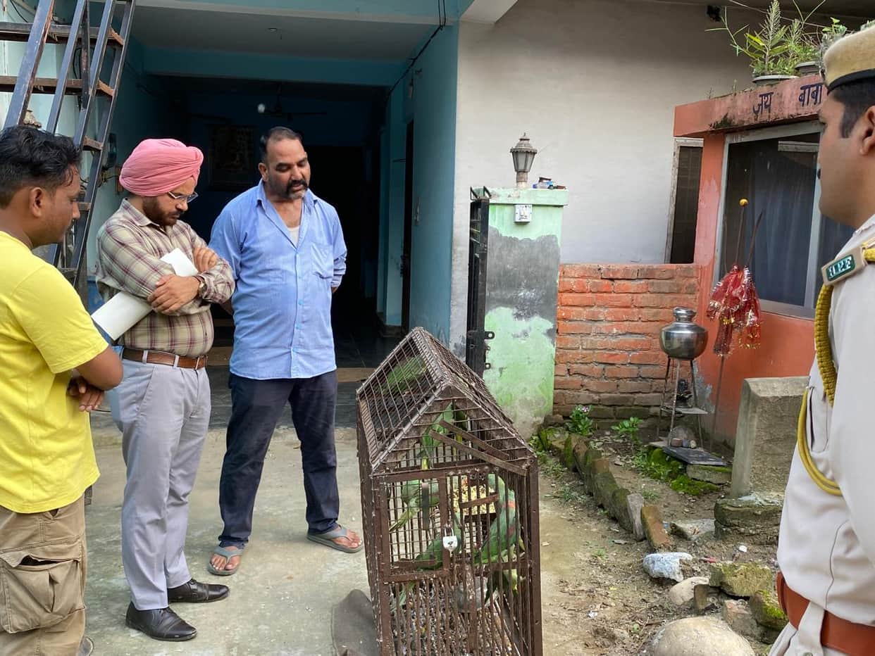 11 parrots freed from cages after 20 years of captivity; Forest Department carries out rescue.11 parrots freed from cages after 20 years of captivity; Forest Department carries out rescue.