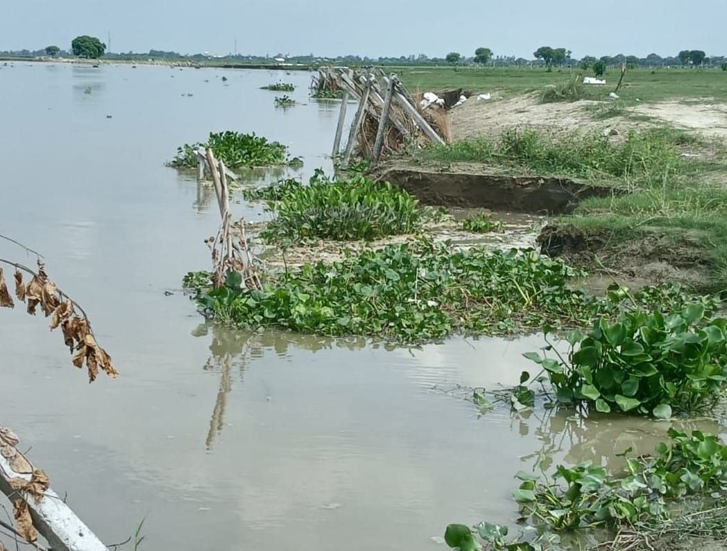 In Hajipur, 10 bighas of agricultural land were submerged in the river within 24 hours