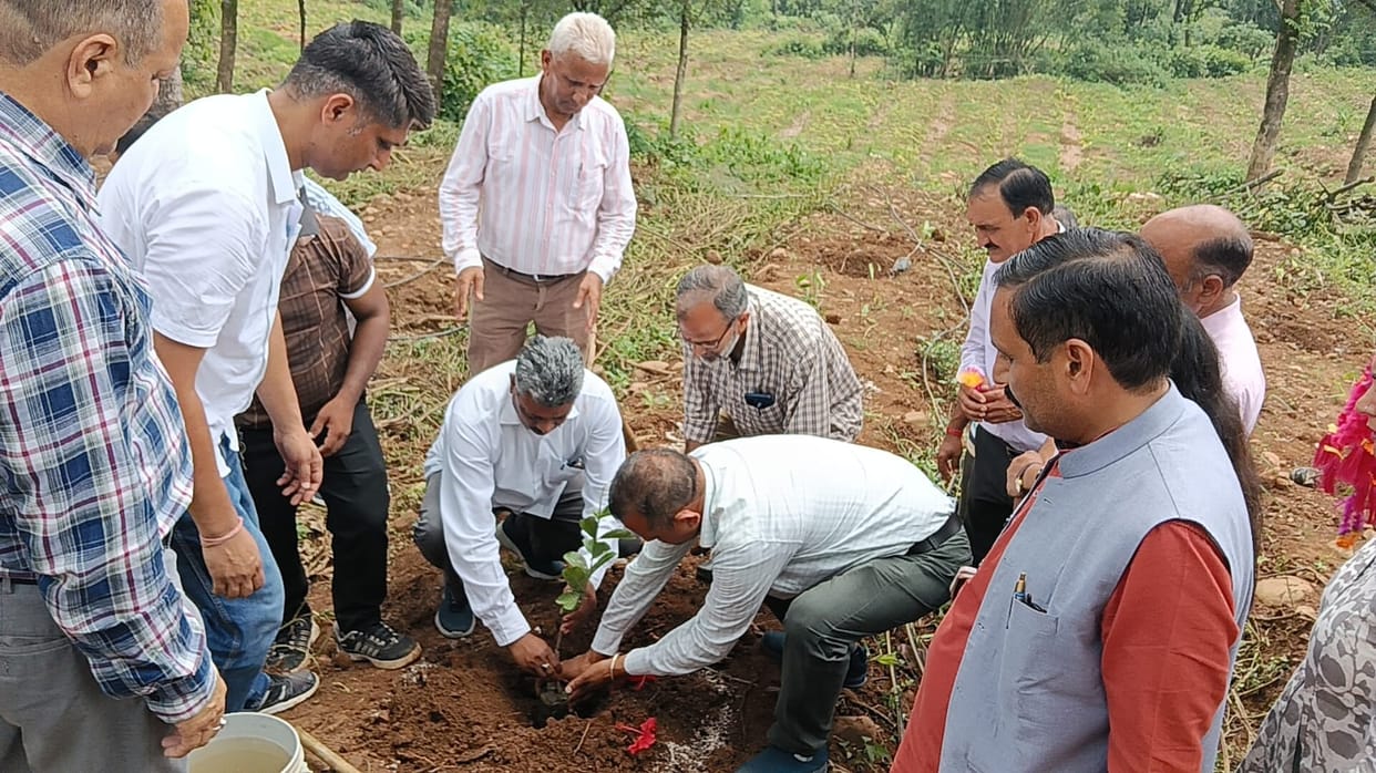 Processing unit to be set up in Jahu for the convenience of orchardists: Suresh