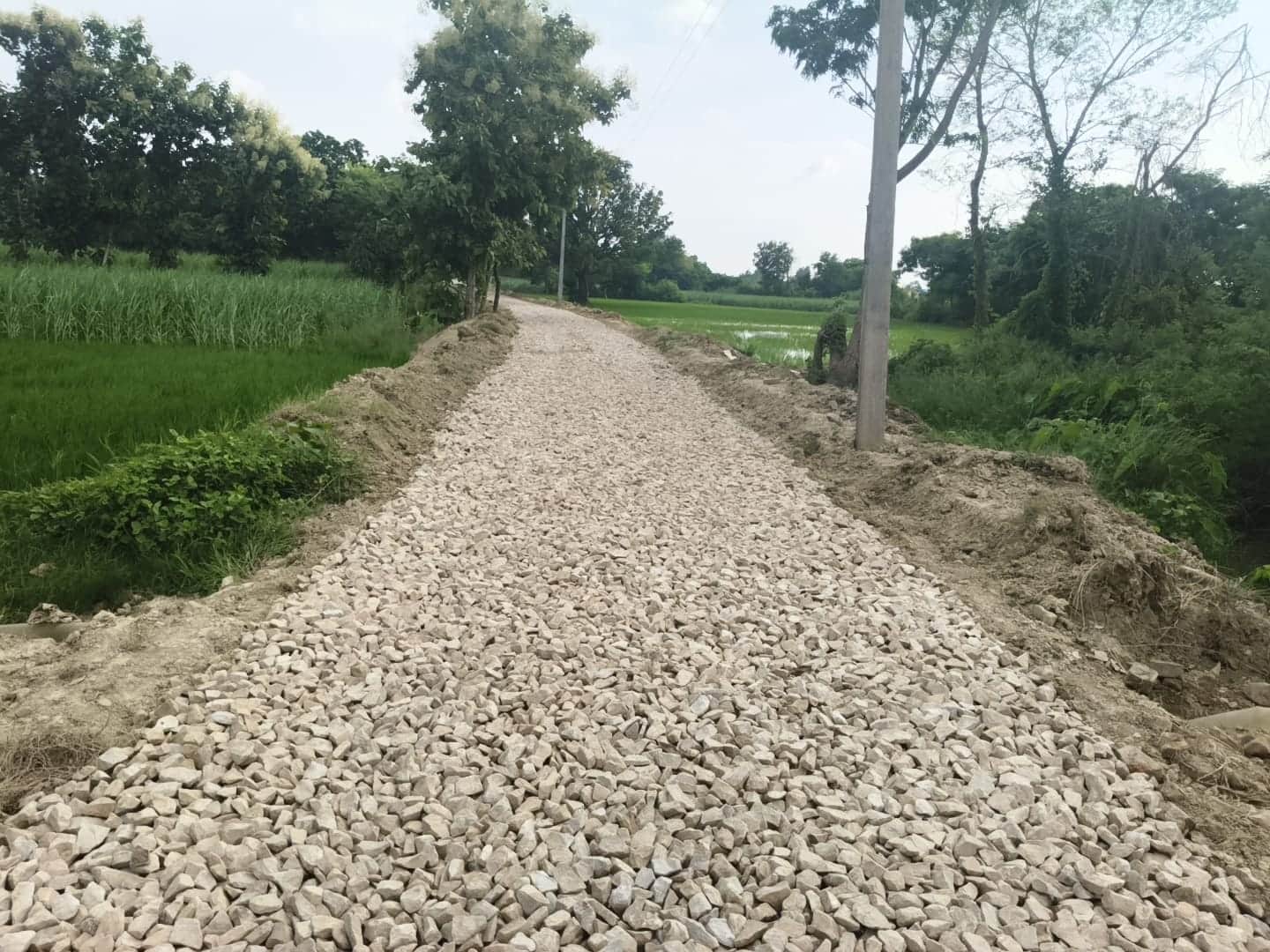 बनकटी के चैनपुरवा बगिया से गुमानारी पिच मार्ग का निर्माण कार्य शुरू संवाद