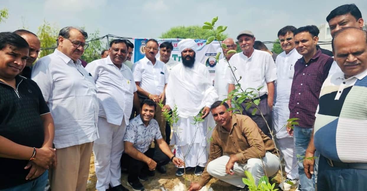 Lions Club City conducted a tree plantation drive.