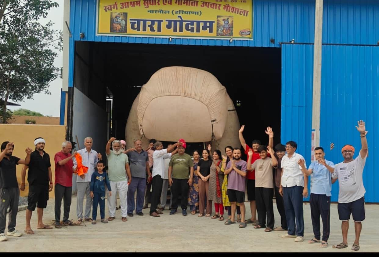 'Sawamani' offering of 42 quintals of wheat straw made at the cowshed.
