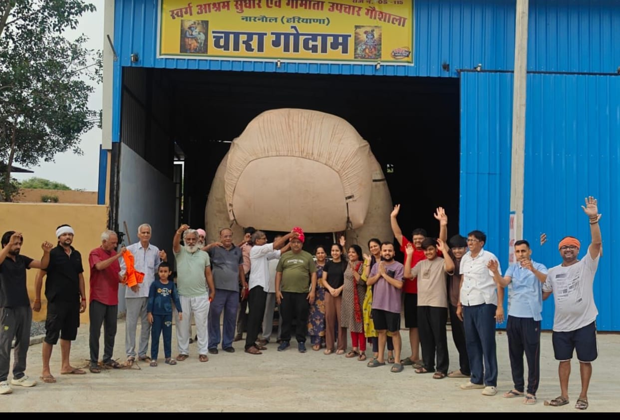 'Sawamani' offering of 42 quintals of wheat straw made at the cowshed.