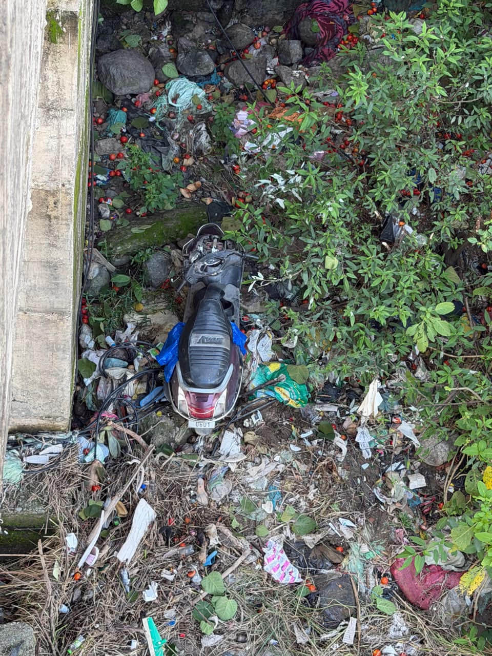 Scooty falls off Manjhi Khad bridge while saving a stray animal; two injured.