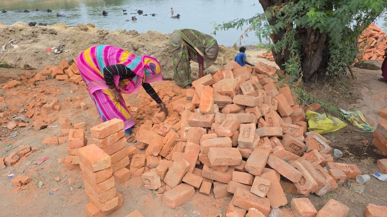 गोहाना के गांव रूखी खास के जोहड़ की रिटेनिंग वॉल में प्रयोग की जा रही निम्न स्तर की ईंट। संवाद