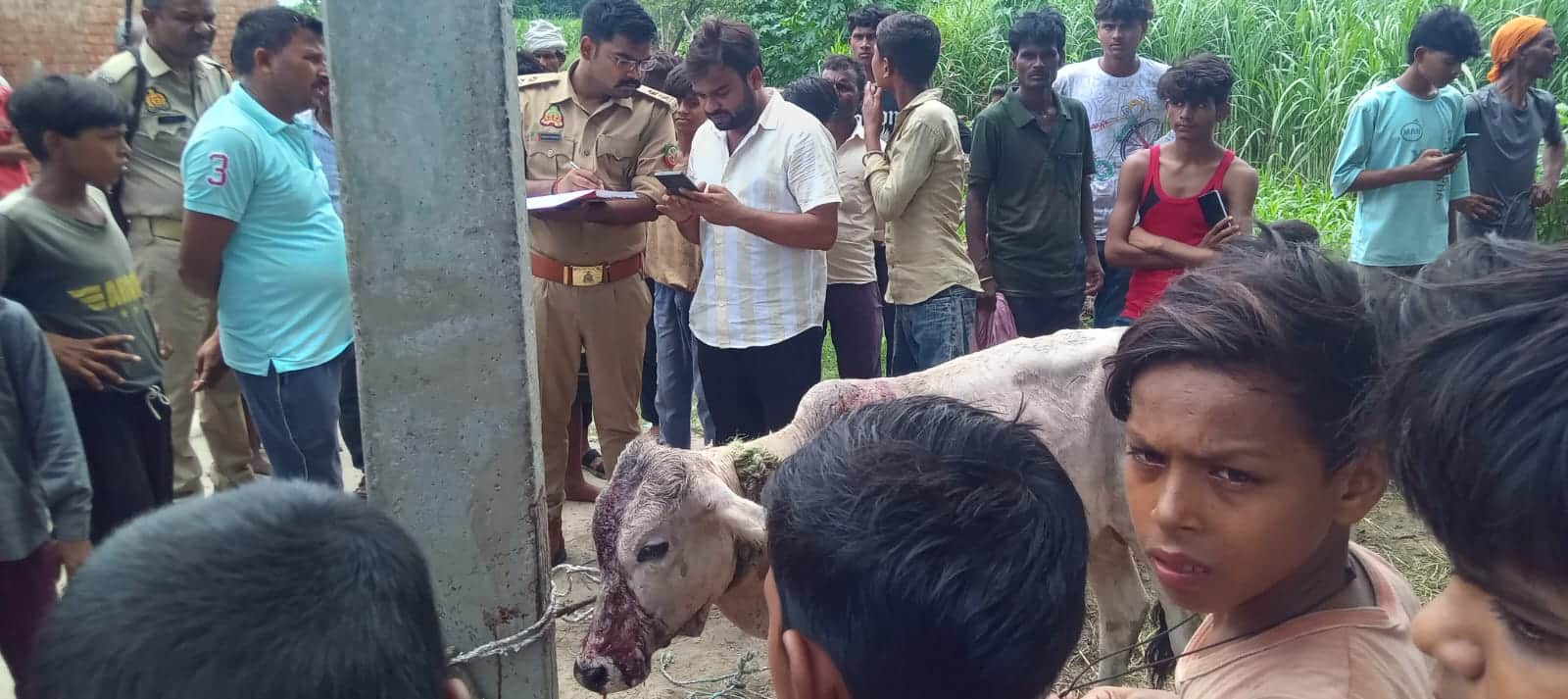 गांव बुद्धापुरवा के पास तेंदुए के हमले में घायल पशु को देखती वन विभाग की टीम। स्रोत ग्रामीण