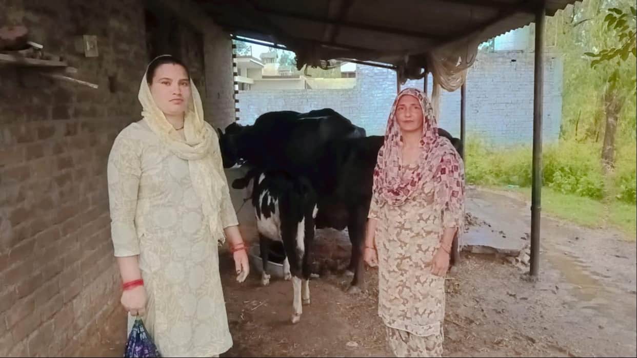 Animal husbandry has become a source of employment for women