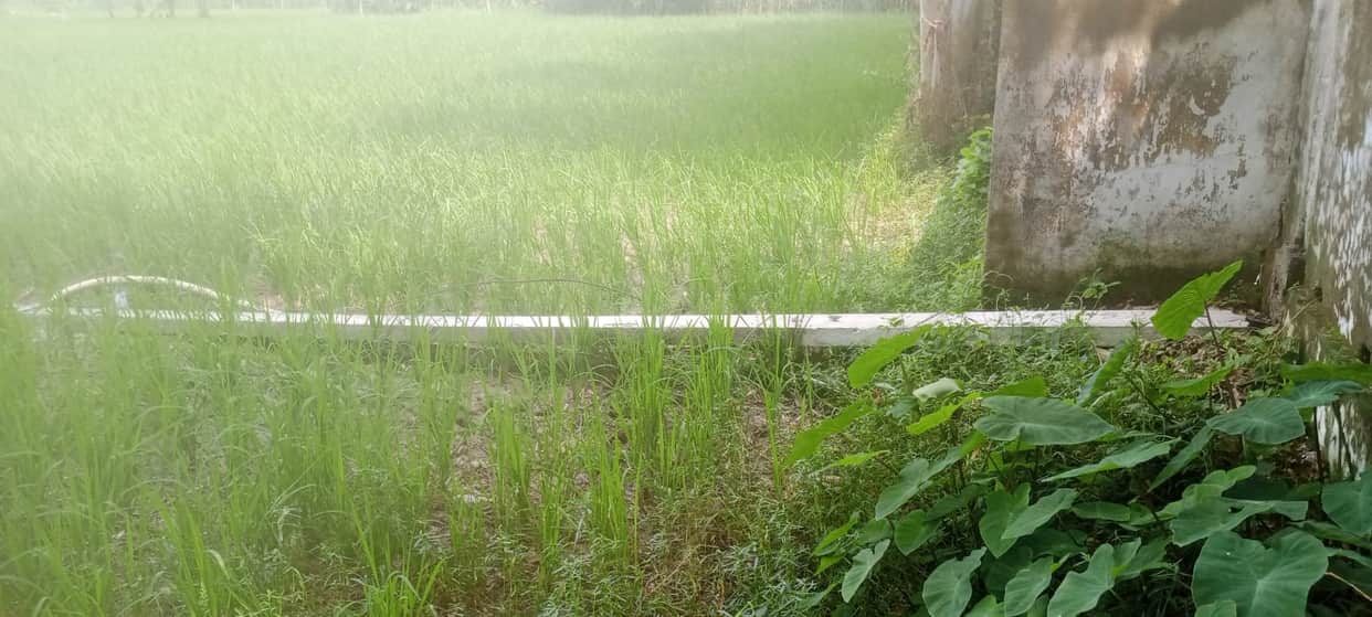 Transformer burnt out, pole toppled, power out in several villages