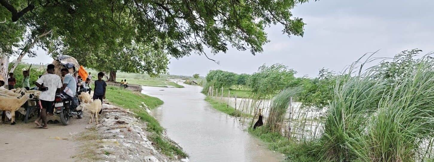 पथरामई बांध के पास खेतों में घुसा पानी। संवाद