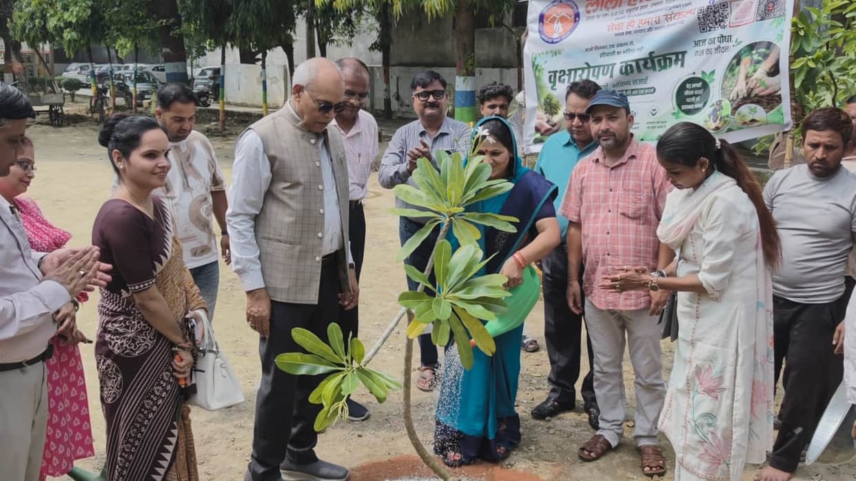 Saplings planted at Awadh University