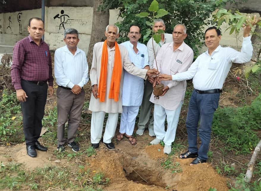 राजकीय मॉडल संस्कृति वरिष्ठ माध्यमिक विद्यालय बीकानेर में पौध रोपण करते। स्त्रोत: स्कूल