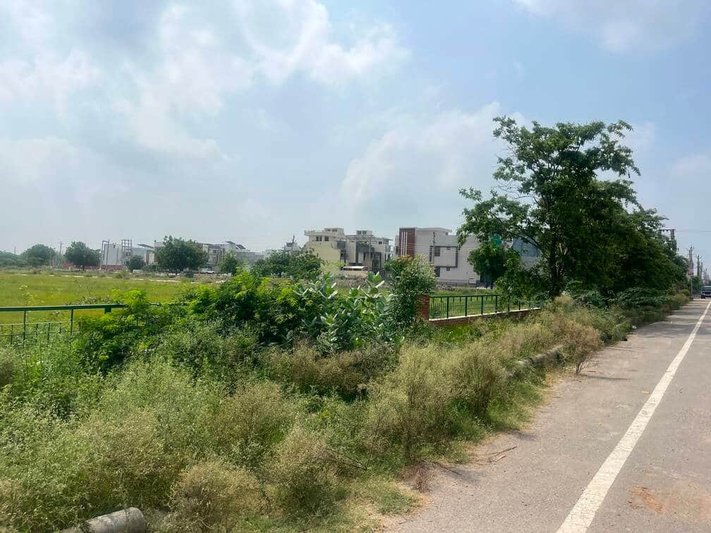 सेक्टर 21 में ग्रीन बैल्ट वाली जगह पर सड़क के साथ उगी झाड़ियां व घास। संवाद