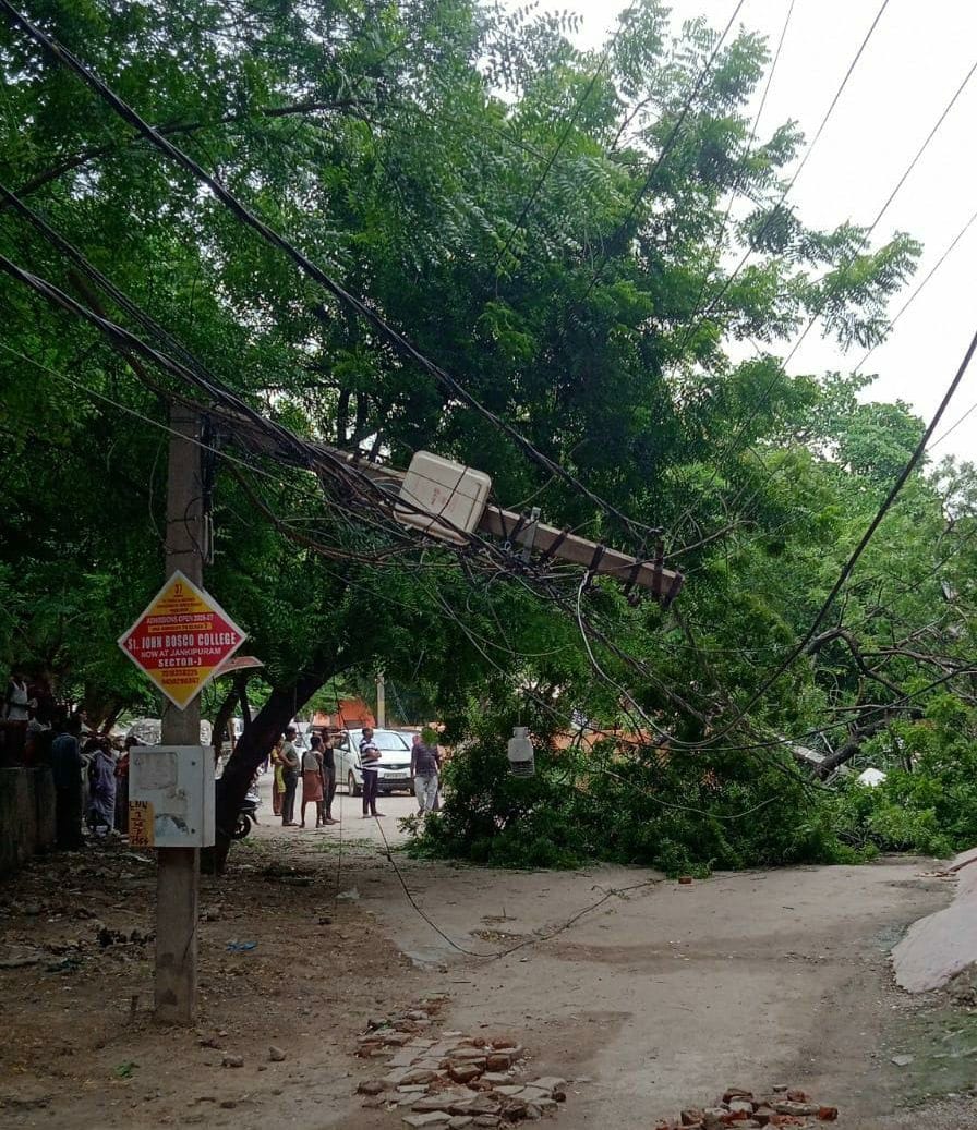 A tree fell on power lines, disrupting power supply.