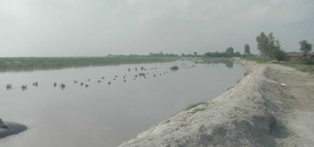 Then, the water level of the Saryu began to rise, increasing anxiety among the people in the Diara villages.