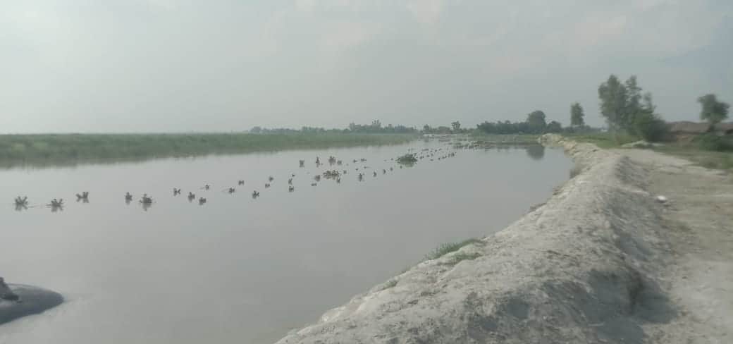 धनघटा में उफान पर सरयू नदीफोटो स्रोत संवाद