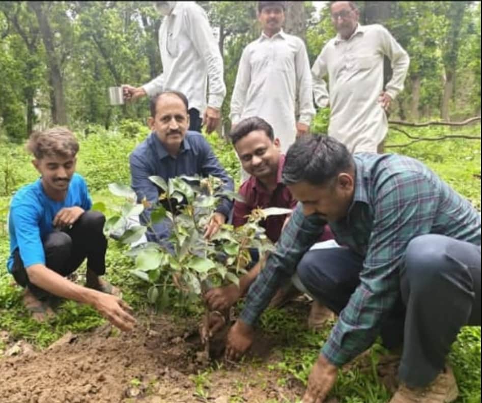 tree plantation in gutanpur