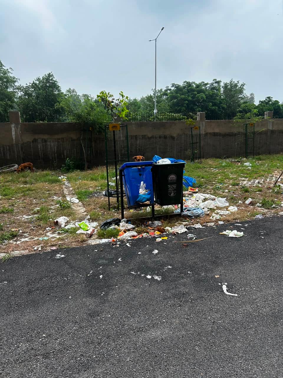 Piles of garbage in the Sector-22D society