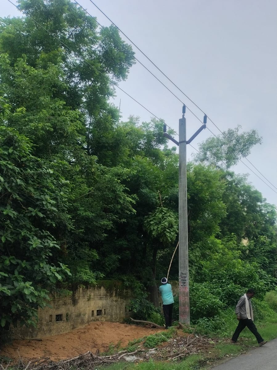 अकबरपुर में बिजली के तारों पर लटकती पेड़ की टहनियों को काटते बिजलीकर्मी। विभाग