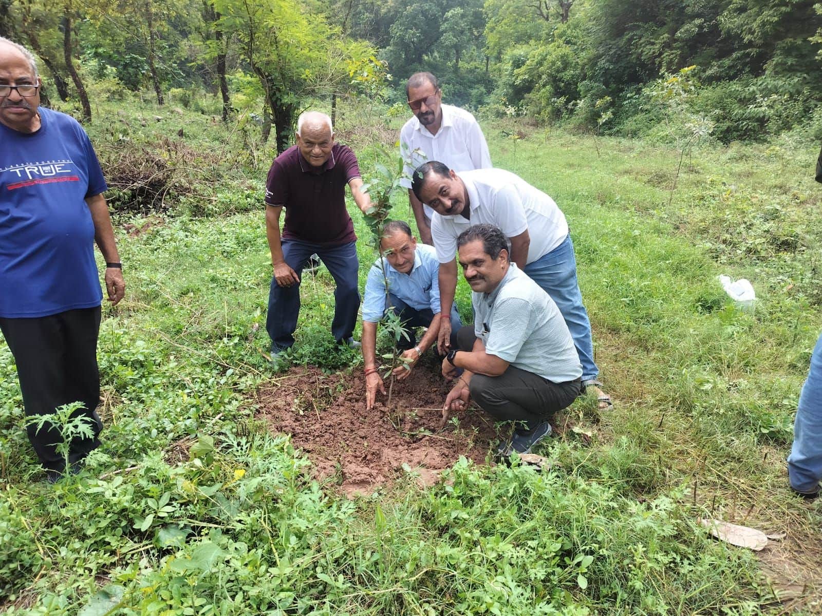 भेड़ीवाला में पौधे लगाते फ्रेंडस ऑफ फोरेस्ट नाहन से जुड़े सदस्य। संवाद