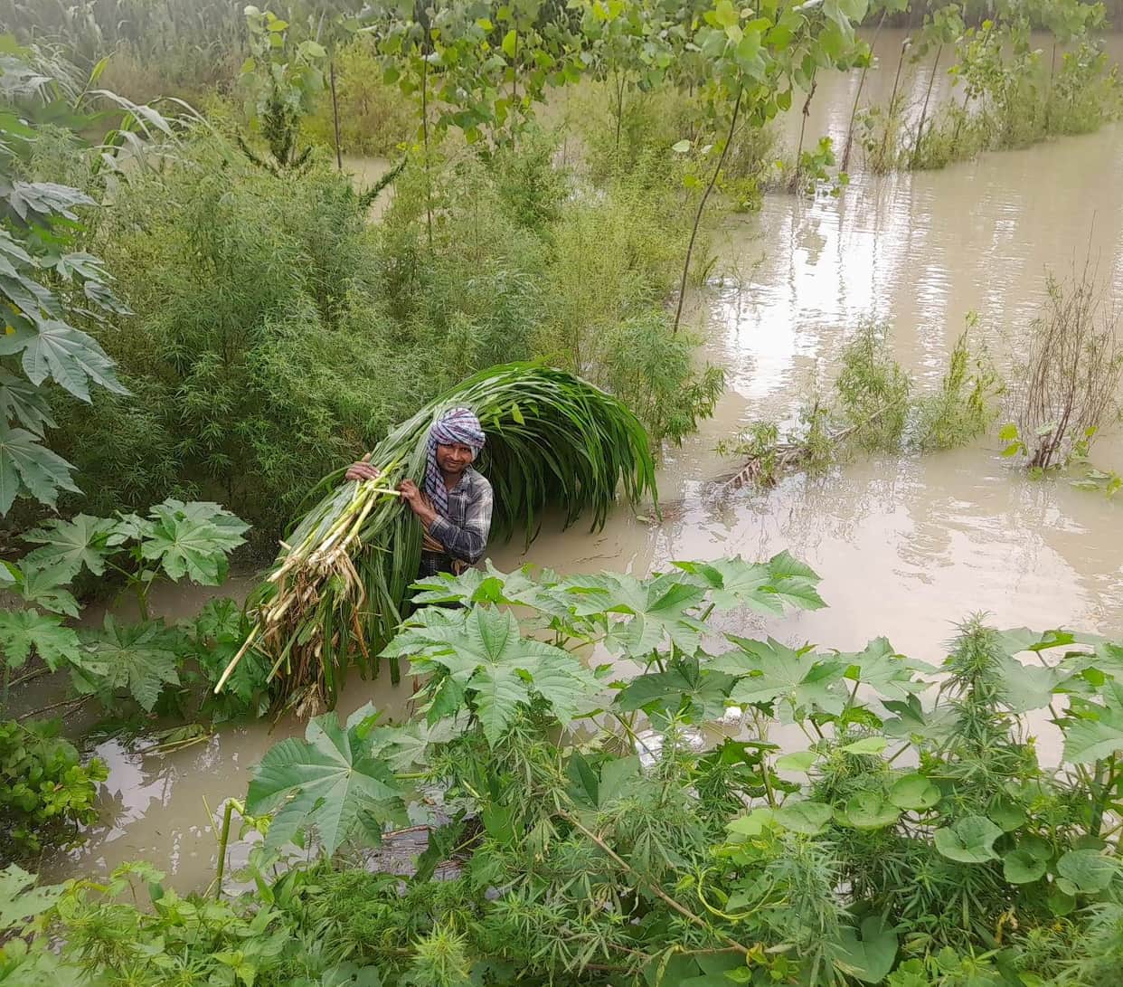 Three to four feet of Ganga water on Hussainpur Khasa-Bakipur road