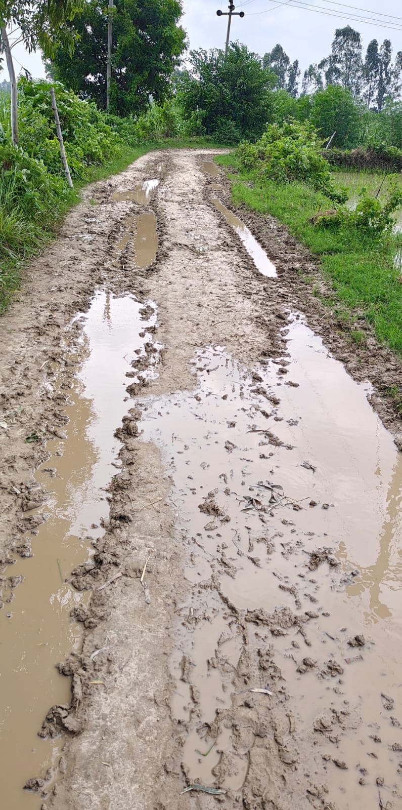 Problem due to swamp on the road to Chouhanpur power substation