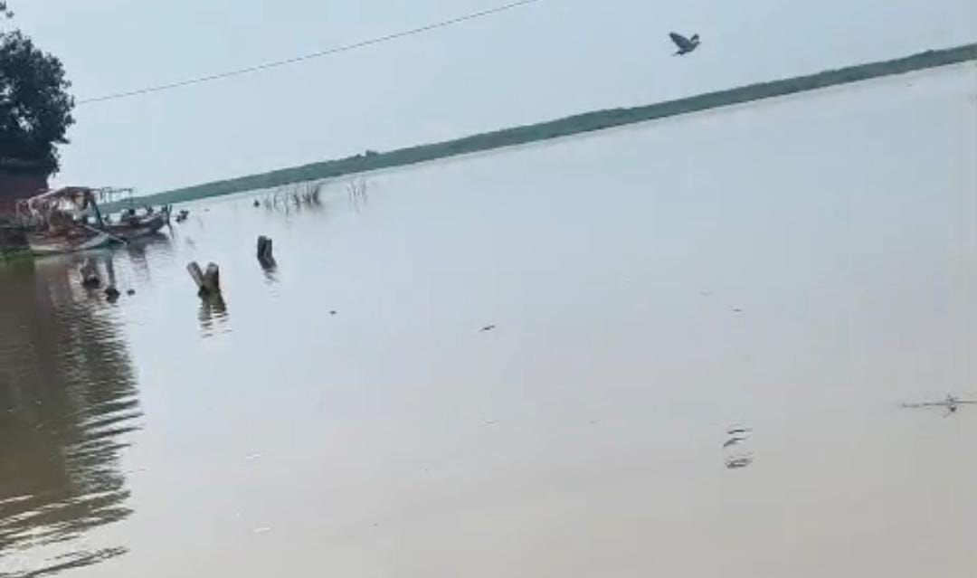 The gradual rise in the water level of the Ganges River has increased the villagers' anxiety.