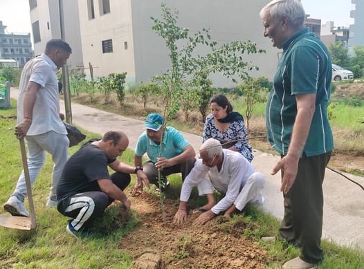 A message of environmental conservation through tree plantation