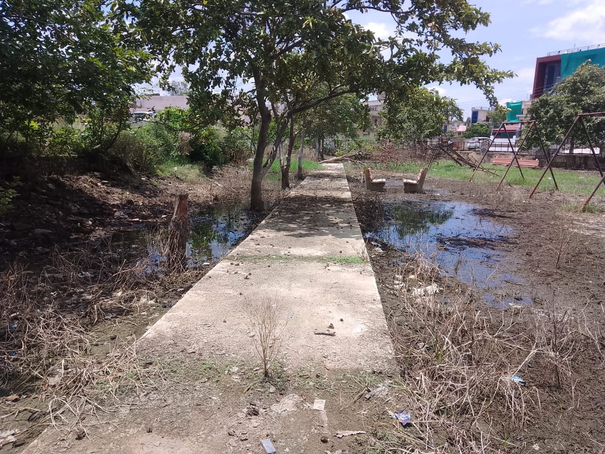 Water spreads across park pathways; neglect has taken the place of greenery.
