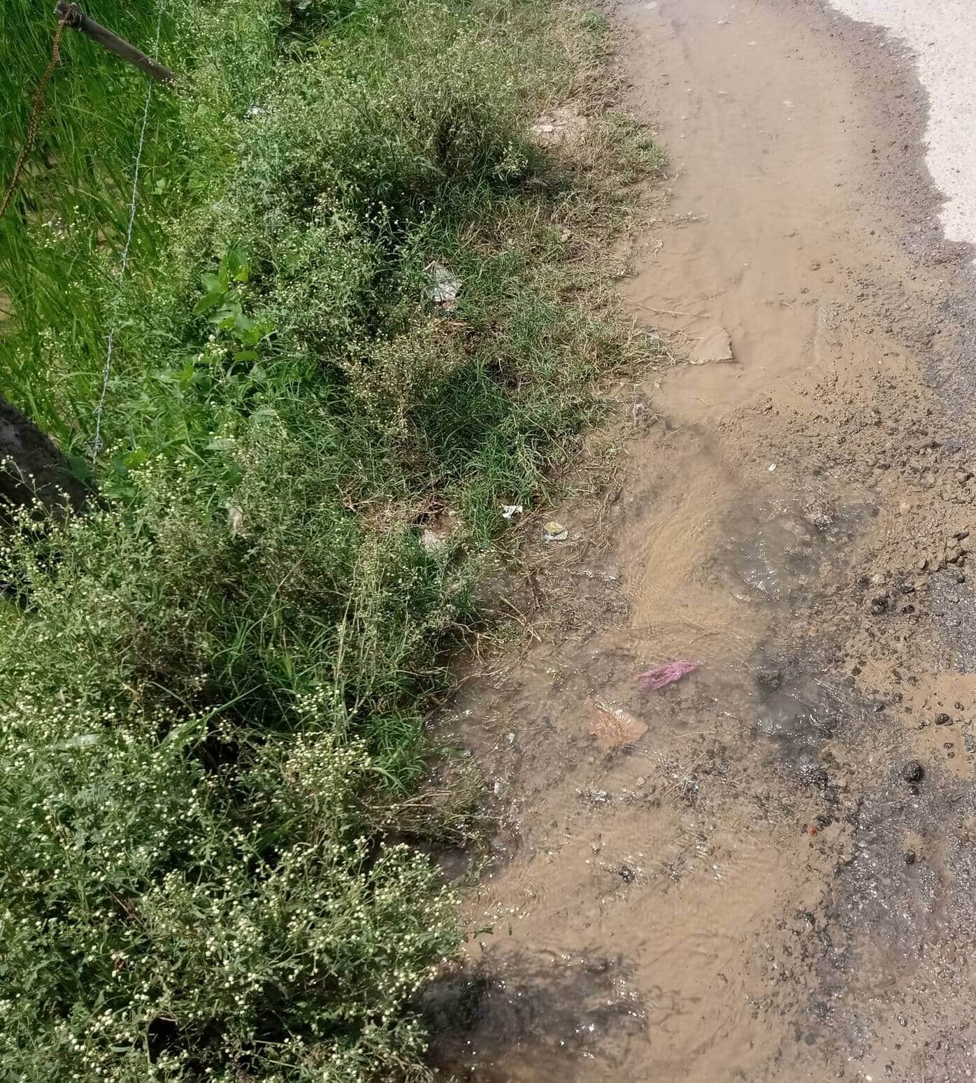 जगतपुर क्षेत्र के तिवारीपुर गांव में पाइप लाइन लीकेज होने से सड़क किनारे बहता पानी।