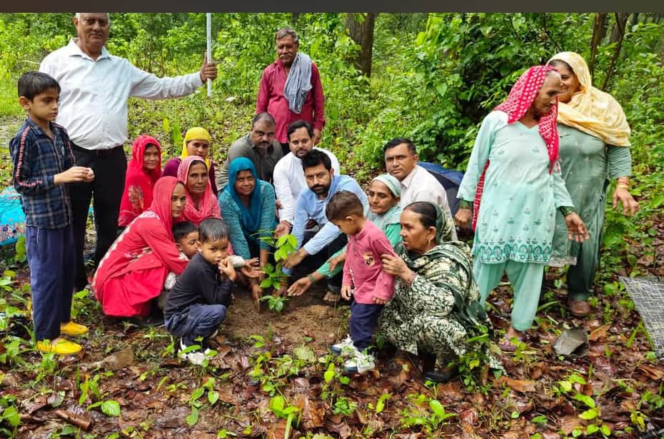 जिला परिषद सदस्य रोहित चौधरी रविवार को महिला समिति किशनकोट का वन बचाओ–जीवन बचाओ अभियान शुरू करत