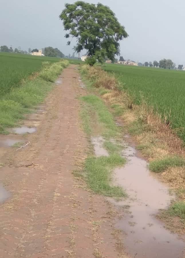 कच्ची ईंटों से बनी पगडंडी। संवाद