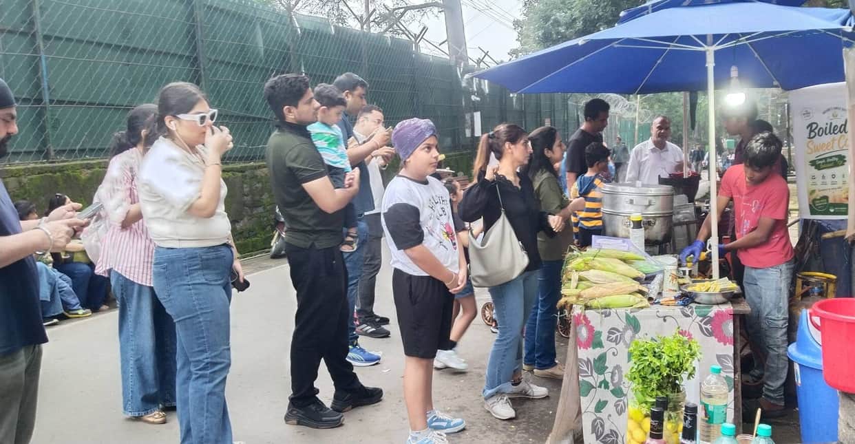 Pleasant weather in Kasauli; tourists enjoyed roasted corn and Himachali Siddu.