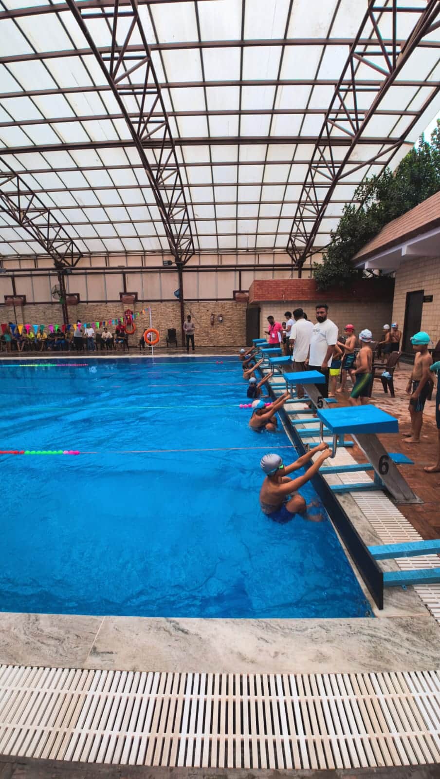 Swimmers make a splash, bagging 77 medals.