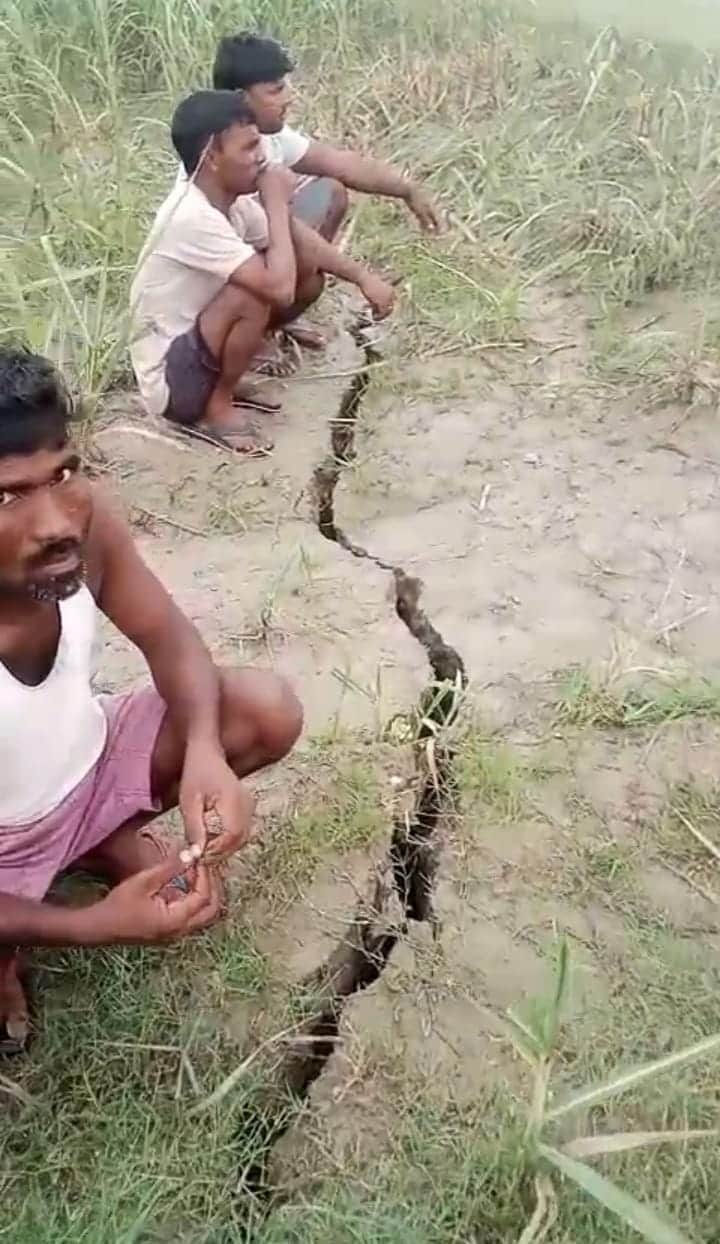 Farming is getting submerged in the flow of Sharda