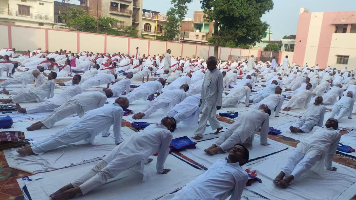 Experts told the secrets of healthy life in the yoga camp