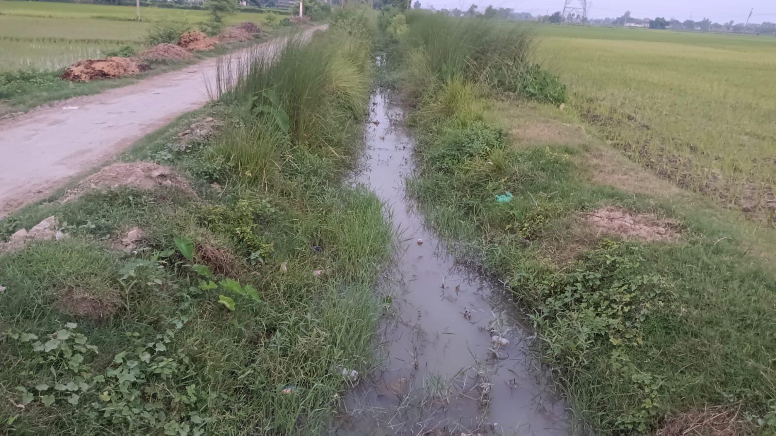 पवनी माइनर में नाली की तरह बह रहा पानी, किसान परेशान।संवाद