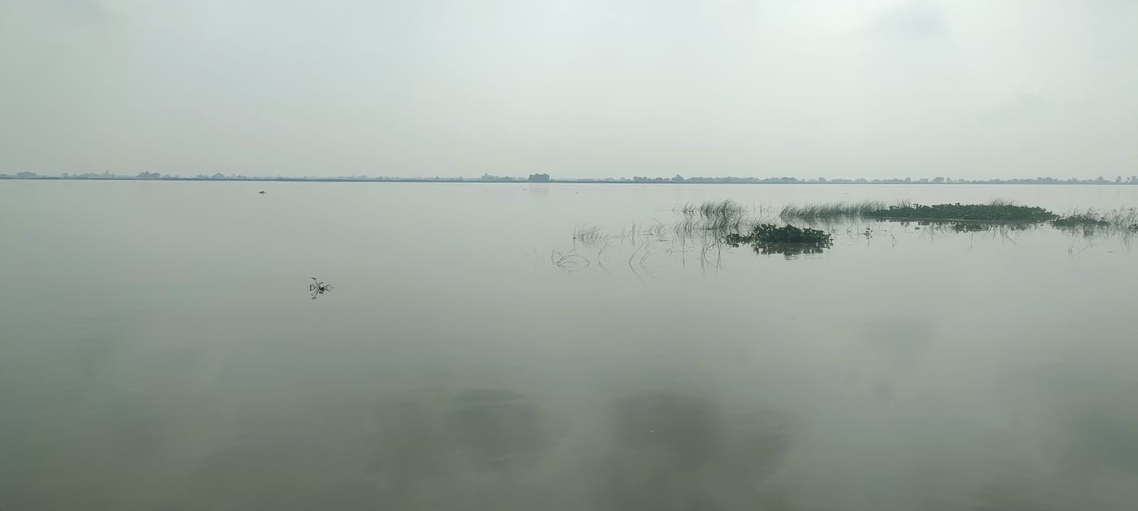 राजेसुल्तानपुर क्षेत्र में बढ़ा सरयू नदी का जलस्तर।