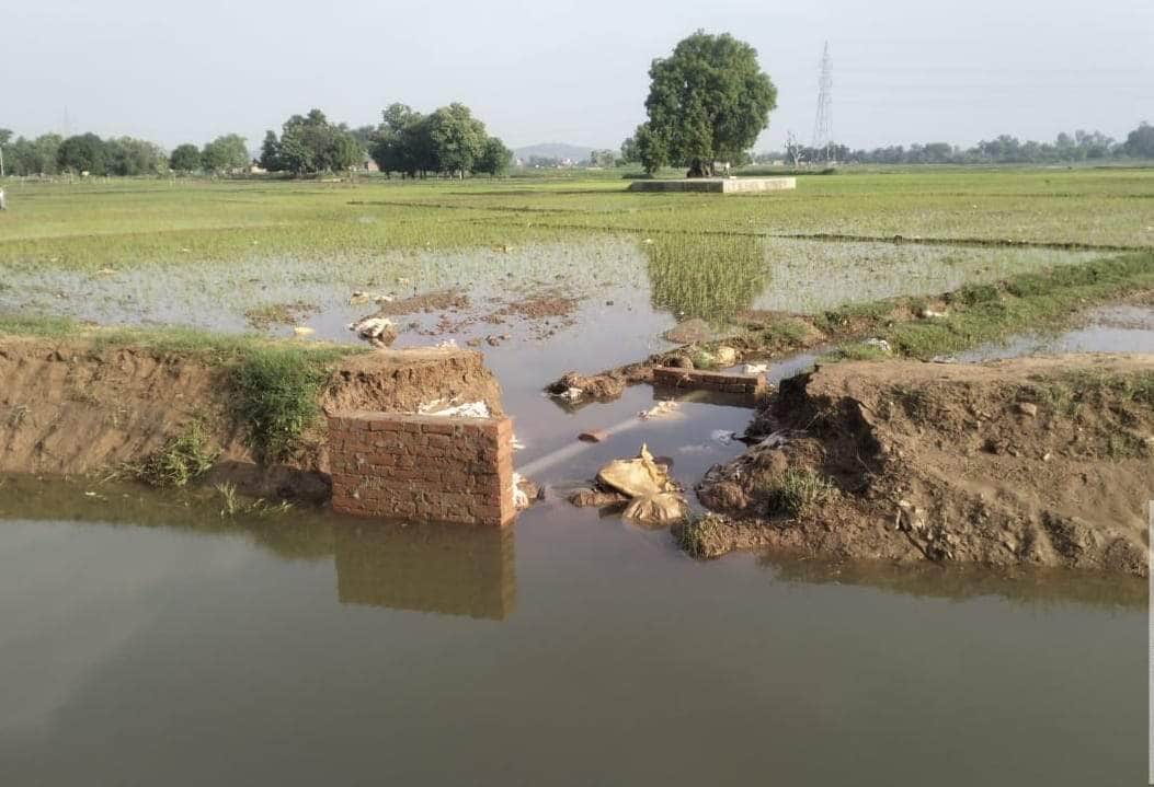 Shikarganj Distributary's embankment breached.