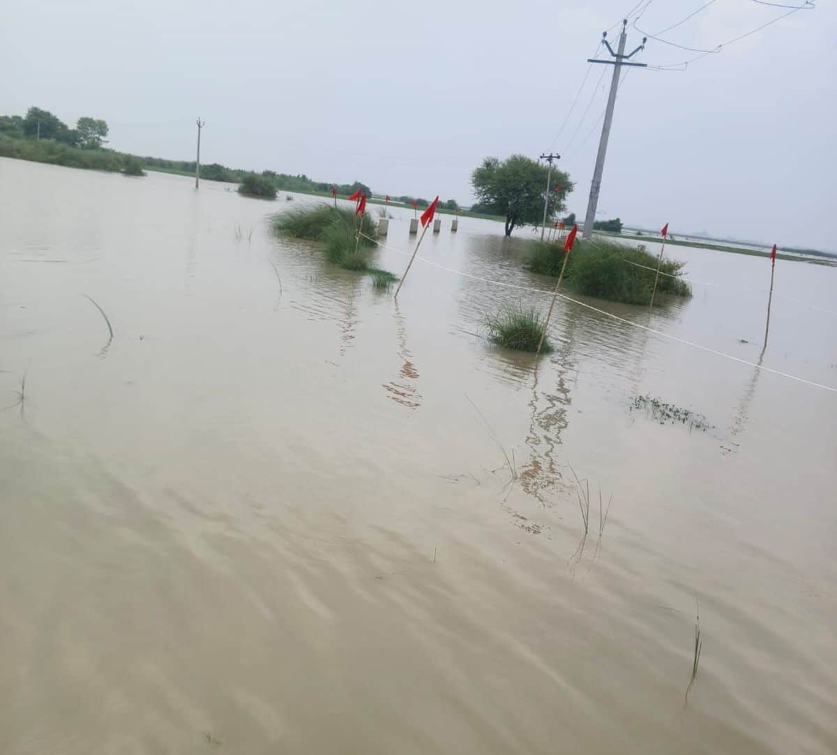 Ganga water level 16 cm above danger mark; low-lying areas inundated.