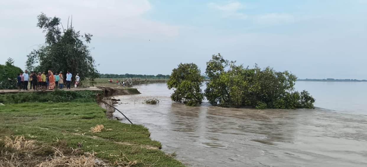 Land, 100 meters of concrete road and a peepal tree within a radius of one kilometer were submerged in the river.