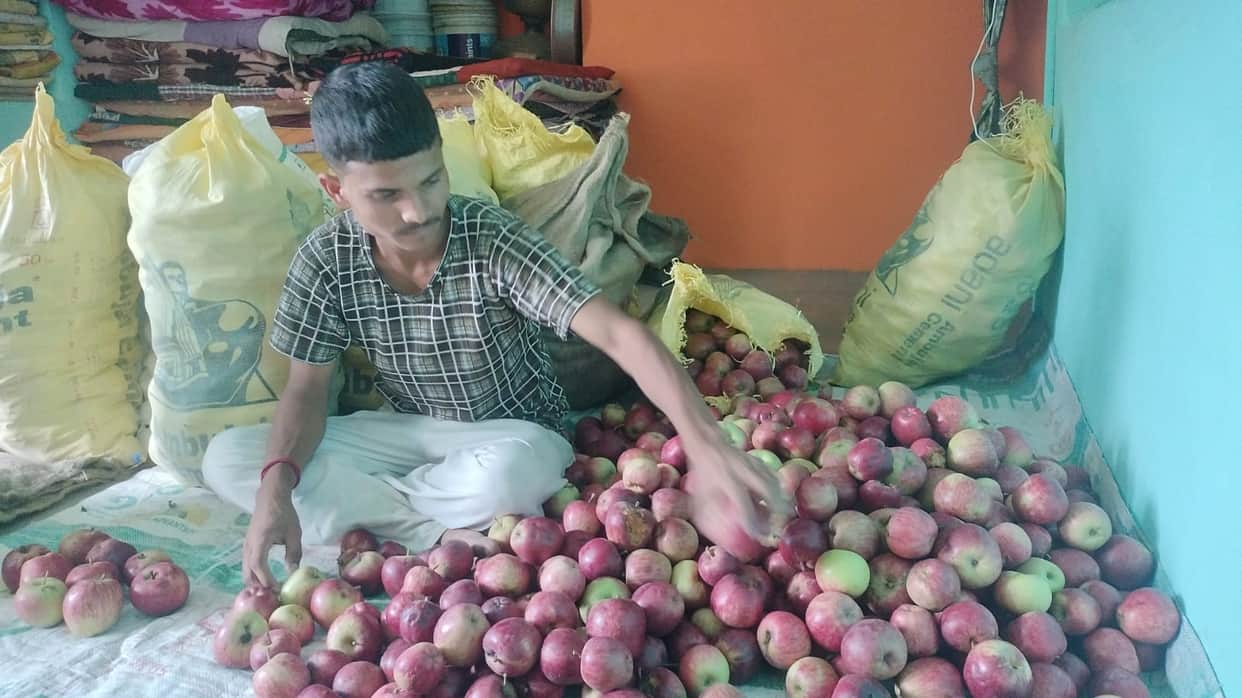 The mountain sent the sweetness of red apples to the market