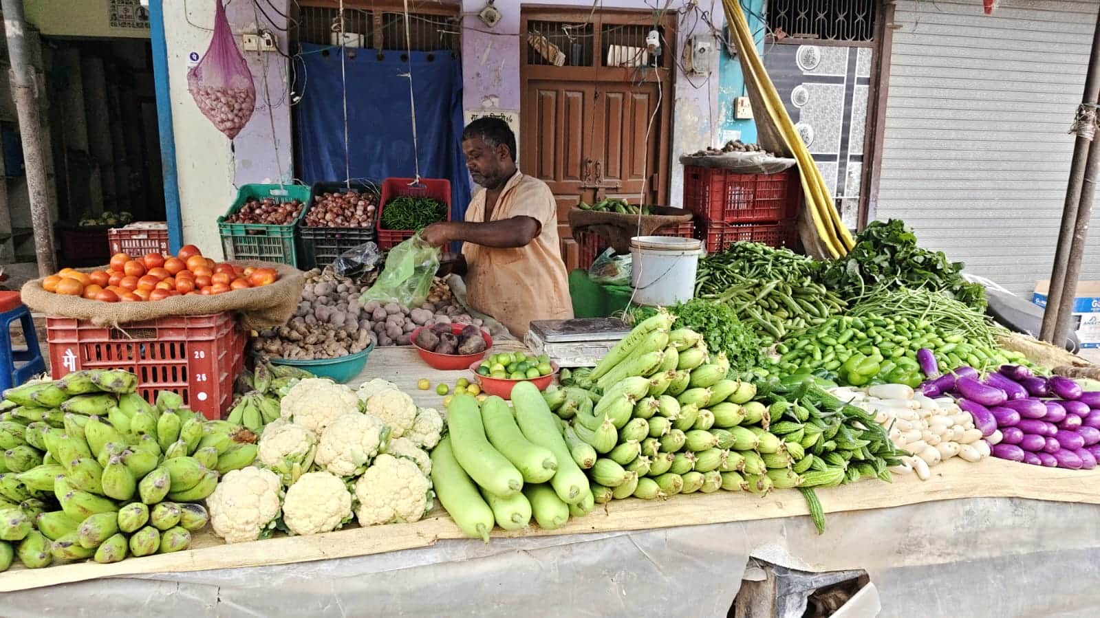 डुमरियागंज मे सबजी की दुकान पर सजी मौसमी साग सब्जी। संवाद