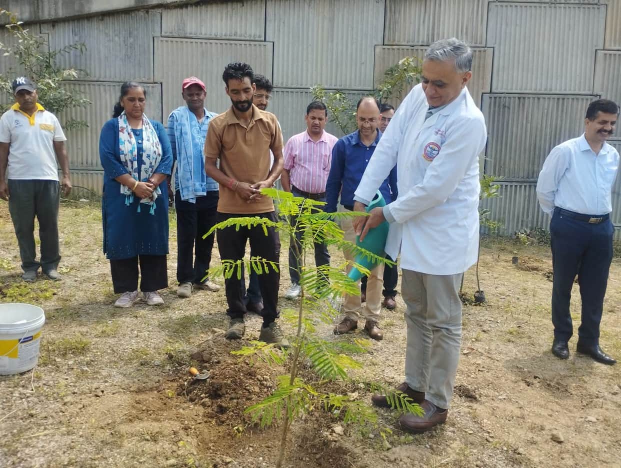 Tree plantation drive at AIIMS Bilaspur; pledge taken to increase greenery.