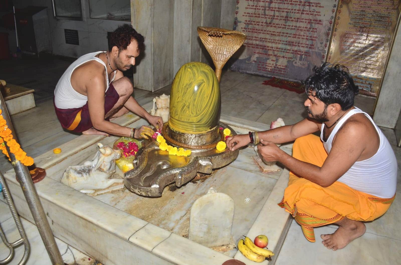 Nag Panchami 2026 Remedies 5 Simple Ways to Reduce Kaal Sarp Dosh Effects in hindi