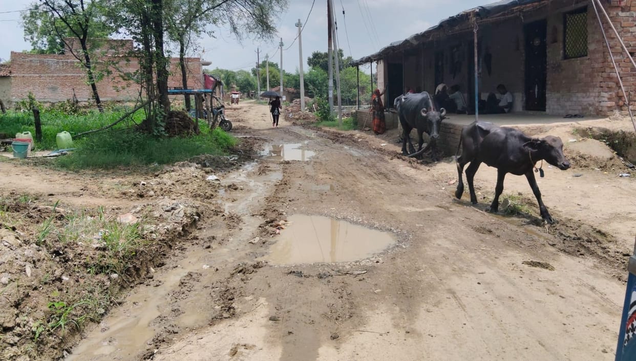 The path for devotees is not easy... potholes and waterlogging on the way to the temple.